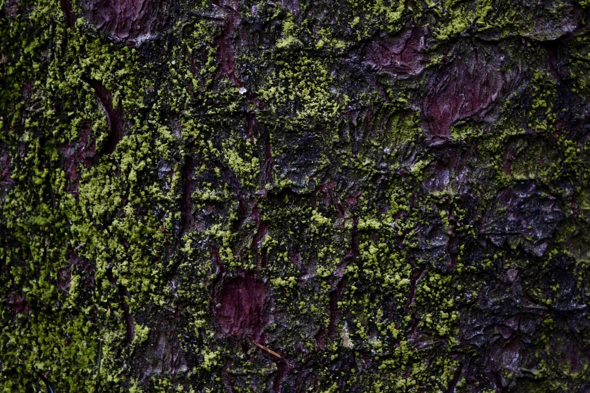 Arial landscape organic structure